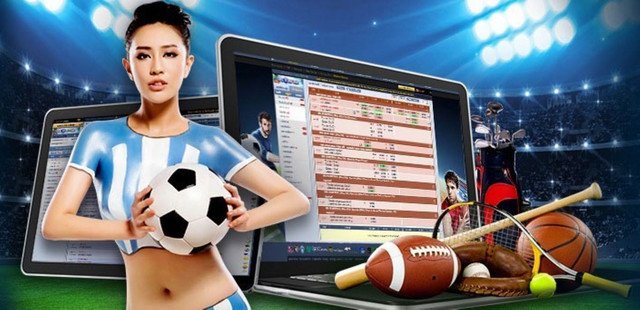 The Growing Popularity of Sportsbooks